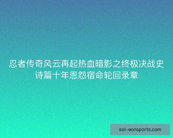 忍者传奇风云再起热血暗影之终极决战史诗篇十年恩怨宿命轮回录章 忍者传奇风云再起热血暗影之终极决战史诗篇十年恩怨宿命轮回录章